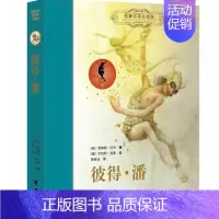 名著名译名绘版 彼得·潘 [正版]任选2本随机赠书名著名译名绘版系列 世界儿童文学作品集冒险故事儿童文学小说中小学生课外