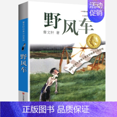 野风车 [正版]完整版根鸟曹文轩系列原著纯美小说三4四5五六年级阅读课外阅读江苏少儿出版社儿童文学的经典图书籍全套作品全