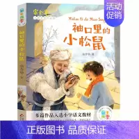 [正版]袖口里的小松鼠- 非注音美绘版人教版宗介华儿童文学作品集二三四五六年级课外书儿童书籍6一12岁店长书