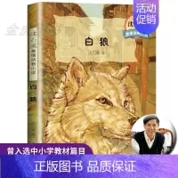[正版]白狼书单本全集沈石溪动物小说小学生三四五六年级阅读课外书籍沈石溪写的书儿童文学系列作品