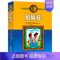 [正版]姐妹花书非注音版小学生三四年级课外阅读书籍阅读阅读书目儿童文学作品林格伦作品集美绘版童书少年儿童出版社