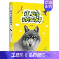 [正版]正邮 沈石溪动物故事全彩美绘 儿童文学中短篇小说作品集 小学三四五年级课外阅读寒暑假阅读斑羚飞渡天命猎狐狼妻