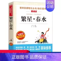 繁星春水 [正版]繁星春水原著冰心儿童文学作品中小学生课外阅读书籍四年级下册五六年级基础阅读书全集课外阅读书籍