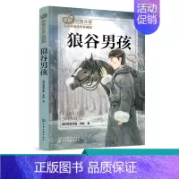 [正版]黑鹤动物文学名师导读 全彩珍藏版 狼谷男孩 中国教育报年度十大阅读推广人 沉砂 走进自然 补充精神钙质 经典