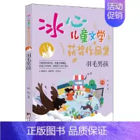 羽毛男孩 [正版]羽毛男孩(“冰心儿童文学获奖作品集”系列丛书,与原创文学对话,传递文学精品。让小读者在阅读的过程中,感