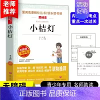 [正版]小桔灯儿童文学冰心读本经典作品选小学生三四五六年级课外书必读班主任阅读小橘灯散文集诗