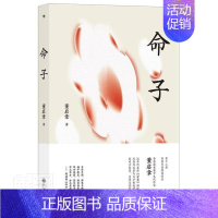 [正版]命子董启章中国文学当代文学作品综合集普通大众文学书籍