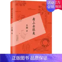 [正版] 看上去很美 王朔随笔集作品 爱情小说都市 情感小说中国现当代文学经典文学小说书籍
