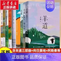 冬牧场 [正版]文轩李娟作品全集9册羊道三部曲+冬牧场+阿勒泰的角落+我的阿勒泰+记一忘三二+遥远的向日葵地李娟散文集随