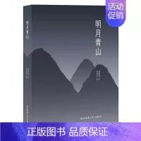 [正版]明月青山杜爱民 中国画作品集中国现代文学书籍