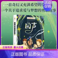 回声 [正版]回声百年国际大奖小说南方出版社儿童文学长篇小说作品集关于奇幻和冒险追求爱与梦想的成长故事7~14岁青少年阅