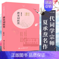 唐宋词欣赏 [正版]单本/套书可选诗文雅韵入门小丛书 作诗漫话+唐宋词欣赏+文艺欣赏漫谈 古典文学作品集艺术理论 浙