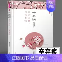 [正版]辛弃疾传 壮志未酬刀锋难收 辛弃疾诗词全集 中国古诗词鉴赏书籍 唐诗宋词鉴赏解读全集南宋人物历史故事传记小说散文