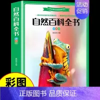 [彩图注音版]自然百科全书 [正版]兵器百科全书注音版 中国少年儿童军事科普类书籍小学关于武器大百科枪械坦克航空航天战斗