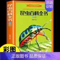 [彩图加厚版]昆虫百科全书 [正版]兵器百科全书注音版 中国少年儿童军事科普类书籍小学关于武器大百科枪械坦克航空航天战斗