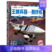 王牌兵器-轰炸机 [正版]兵器大全中国儿童军事百科全书全10册6-9-12岁少儿中小学生课外阅读书籍步枪机枪手枪坦克战斗