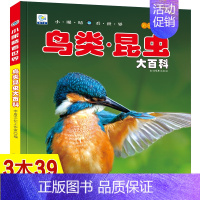 鸟类.昆虫大百科 [正版]枪械大百科彩图注音版中国儿童军事百科全书读物世界武器兵器百科全书少儿科普类书籍小学生一二三年级