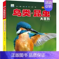 [彩图注音]鸟类昆虫大百科 [正版]全套22册 中国儿童趣味百科全书少儿大百科漫画版全套注音版科普类书籍小学科学军事恐龙
