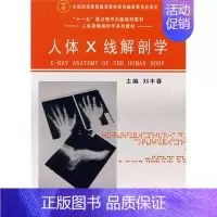 人体X线解剖学 [正版] 人体X线解剖学 刘丰春 军事医学科学出版社