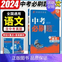 语文 初中通用 [正版]2024中考合订本数学语文英语物理化学政治历史总复习资料九年级真题分类训练初三生物地理会考中考总