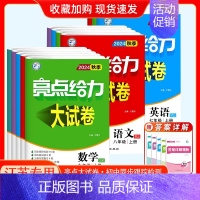 24秋]九年级上册.语数英.江苏专用 初中通用 [正版]2024秋新版亮点给力大试卷江苏教版七年级上册八九年级下册语文人