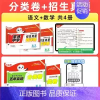 4本[语文+数学]分类卷+招生真题 小学通用 [正版]2025万唯星空小升初分类卷真题卷重点中学招生五年真题分类语文数学