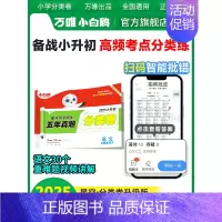 2025版小升初分类卷[语文] 小学升初中 [正版]2025小白鸥分类卷原星空分类卷小升初真题试卷语文数学英语重点中学招