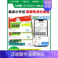 2025版分类卷3本[语数英] 小学升初中 [正版]2025小白鸥分类卷原星空分类卷小升初真题试卷语文数学英语重点中学招
