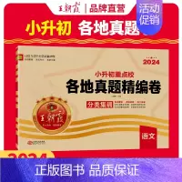 [2024新版]各地真题语文 小学升初中 [正版]小升初真题卷2024新版小升初刷题小学升初中重点校各地真题精编试卷六年