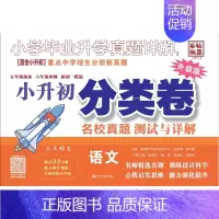 小升初[语文分类卷] 小学通用 [正版]2024版百校联盟小升初分类卷 小学毕业升学真题详解 五年级预备六年级冲刺新初一