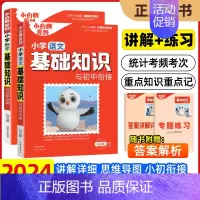 [语文+数学]基础知识 小学升初中 [正版]2025版星空小升初真题卷重点中学招生真题超详解小升初必刷题人教版语文数学英