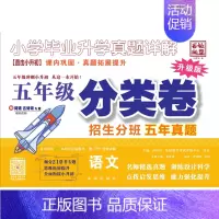 五年级[语文分类卷] 小学通用 [正版]2024版百校联盟小升初分类卷 小学毕业升学真题详解 五年级预备六年级冲刺新初一