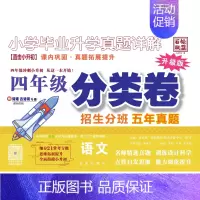 四年级[语文分类卷] 小学通用 [正版]2024版百校联盟小升初分类卷 小学毕业升学真题详解 五年级预备六年级冲刺新初一