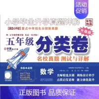 五年级[数学分类卷] 小学通用 [正版]2024版百校联盟小升初分类卷 小学毕业升学真题详解 五年级预备六年级冲刺新初一