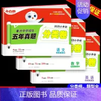 [语文+数学+英语]五年真题分类卷 小学升初中 [正版]2025小白鸥星空小升初真题卷语文数学英语毕业升学重点中学招生真
