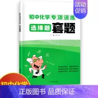 化学选择题套题 初中通用 [正版]初中物理专项训练电学专项力学化学数学代数几何计算题选择题解答题语文病句 初中必刷题库8