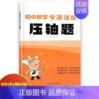 数学压轴题 初中通用 [正版]初中物理专项训练电学专项力学化学数学代数几何计算题选择题解答题语文病句 初中必刷题库89八