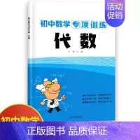 数学代数 初中通用 [正版]初中物理专项训练电学专项力学化学数学代数几何计算题选择题解答题语文病句 初中必刷题库89八九