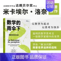 [正版]数学的雨伞下:理解世界的乐趣 培养孩子思维的科普类书籍 数学科普读物 代数 几何 数学故事书 数学思维训练