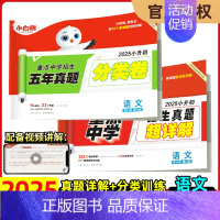 2025版:超详解+分类卷《语文》 小学升初中 [正版]2025版小白鸥欧鸽星空小升初超详解真题卷语文数学英语重点中学招
