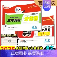 2025版:超详解+分类卷《语文》 小学升初中 [正版]2025版小白鸥欧鸽星空小升初超详解真题卷语文数学英语重点中学招