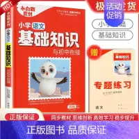 2024版小白鸥小学基础知识-语文(全国通用) 小学升初中 [正版]2025版小白鸥欧鸽星空小升初超详解真题卷语文数学英