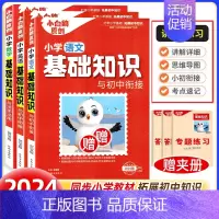 2024版小白鸥小学基础知识-语文+数学+英语(全国通用) 小学升初中 [正版]2025版小白鸥欧鸽星空小升初超详解真题