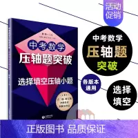 [正版]2022版中考数学压轴题突破选择填空压轴小题 上海教育出版社初中知识解题大全冲刺名校经典例题全解点拨全真模拟训练