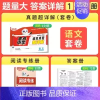 [专项拔尖]超详解2025版-语文 小学升初中 [正版]2025版小白鸥欧鸽星空小升初超详解真题卷语文数学英语重点中学招