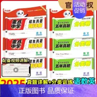 2025版:超详解+分类卷《语文》+《数学》+《英语》 小学升初中 [正版]2025版小白鸥欧鸽星空小升初超详解真题卷语