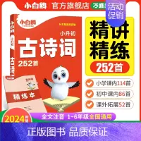 2024版[古诗词252首] 小学升初中 [正版]2025版小白鸥欧鸽星空小升初超详解真题卷语文数学英语重点中学招生五年