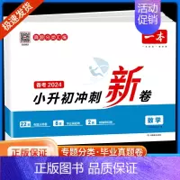 小升初冲刺新卷数学 小学升初中 [正版]2024小升初冲刺新卷语文数学英语人教版小升初真题卷六年级下册试卷测试卷全套专项
