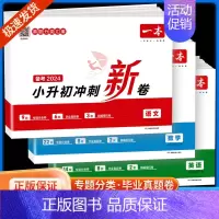 小升初冲刺新卷语文+数学+英语 小学升初中 [正版]2024小升初冲刺新卷语文数学英语人教版小升初真题卷六年级下册试卷测