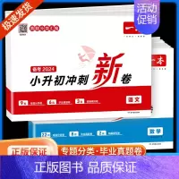 小升初冲刺新卷语文+数学 小学升初中 [正版]2024小升初冲刺新卷语文数学英语人教版小升初真题卷六年级下册试卷测试卷全